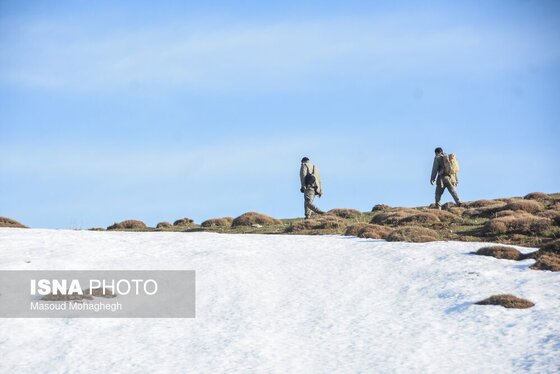 گزارش تصویری | سرشماری حیات وحش جنگل‌های هیرکانی رودبارک - سمنان