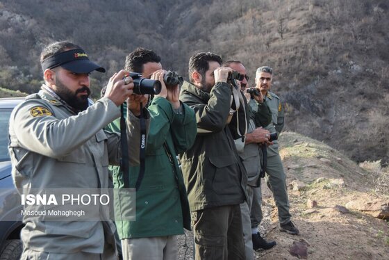 گزارش تصویری | سرشماری حیات وحش جنگل‌های هیرکانی رودبارک - سمنان