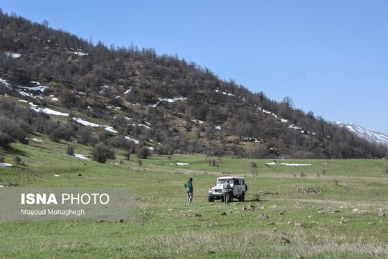 گزارش تصویری | سرشماری حیات وحش جنگل‌های هیرکانی رودبارک - سمنان