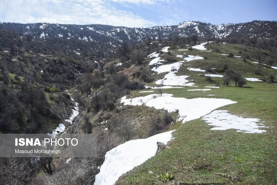 گزارش تصویری | سرشماری حیات وحش جنگل‌های هیرکانی رودبارک - سمنان