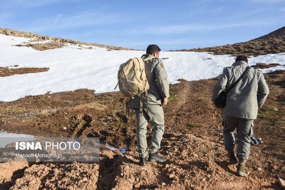 گزارش تصویری | سرشماری حیات وحش جنگل‌های هیرکانی رودبارک - سمنان