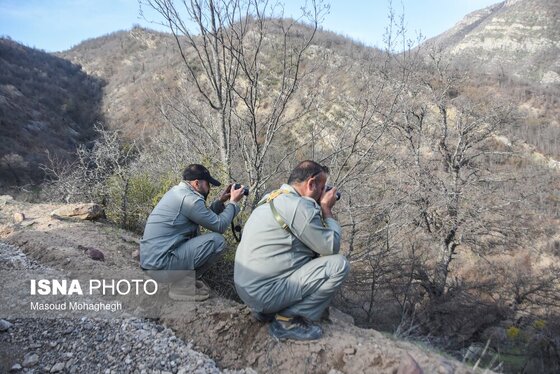 گزارش تصویری | سرشماری حیات وحش جنگل‌های هیرکانی رودبارک - سمنان