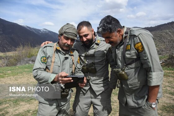 گزارش تصویری | سرشماری حیات وحش جنگل‌های هیرکانی رودبارک - سمنان