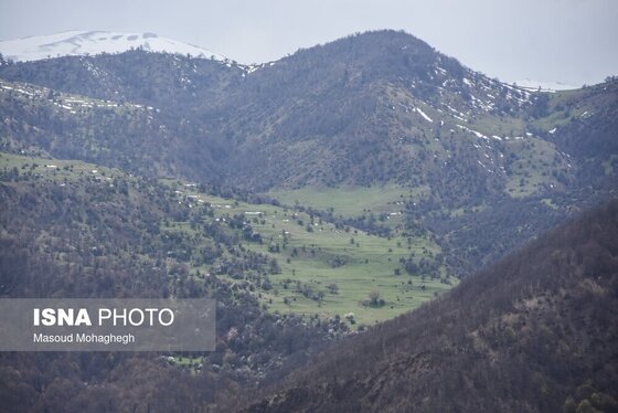 گزارش تصویری | سرشماری حیات وحش جنگل‌های هیرکانی رودبارک - سمنان