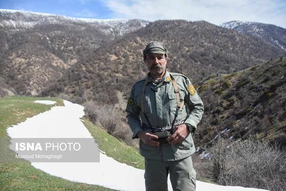 گزارش تصویری | سرشماری حیات وحش جنگل‌های هیرکانی رودبارک - سمنان
