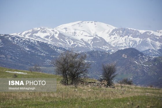 گزارش تصویری | سرشماری حیات وحش جنگل‌های هیرکانی رودبارک - سمنان