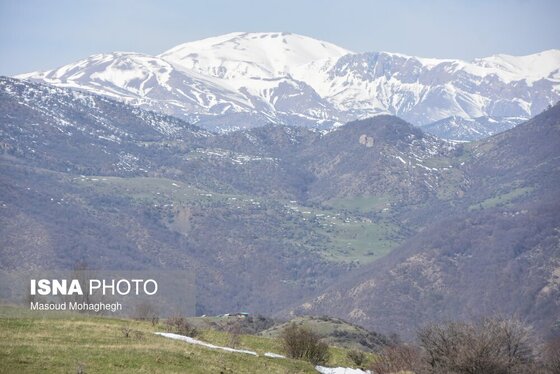 گزارش تصویری | سرشماری حیات وحش جنگل‌های هیرکانی رودبارک - سمنان
