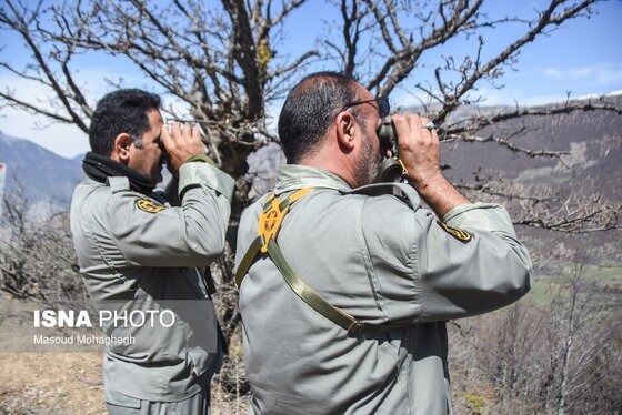 گزارش تصویری | سرشماری حیات وحش جنگل‌های هیرکانی رودبارک - سمنان