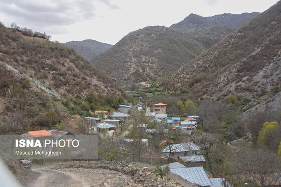 گزارش تصویری | سرشماری حیات وحش جنگل‌های هیرکانی رودبارک - سمنان