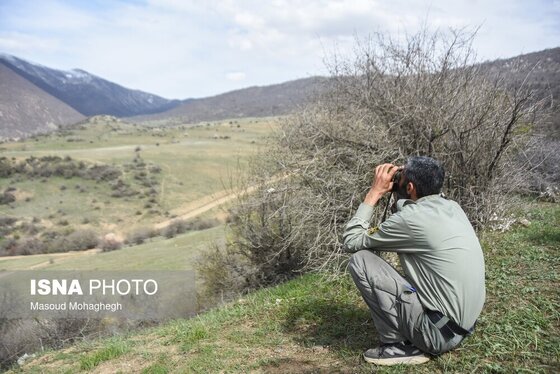 گزارش تصویری | سرشماری حیات وحش جنگل‌های هیرکانی رودبارک - سمنان