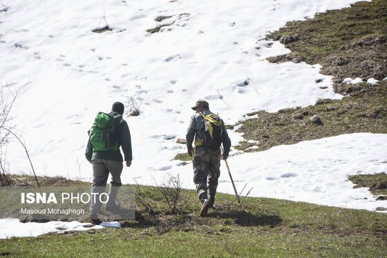 گزارش تصویری | سرشماری حیات وحش جنگل‌های هیرکانی رودبارک - سمنان