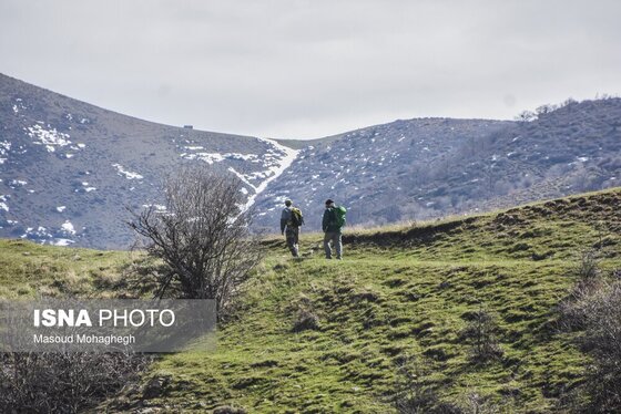گزارش تصویری | سرشماری حیات وحش جنگل‌های هیرکانی رودبارک - سمنان