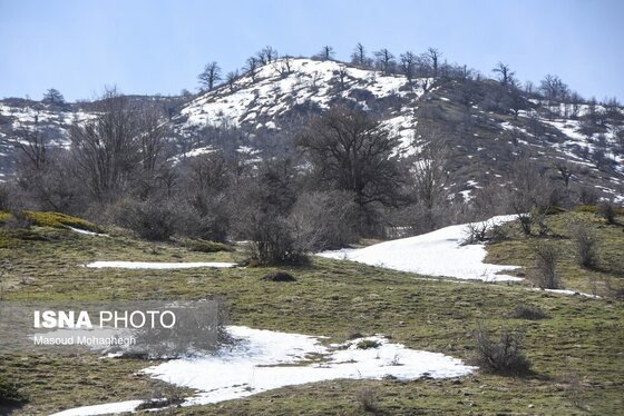 گزارش تصویری | سرشماری حیات وحش جنگل‌های هیرکانی رودبارک - سمنان