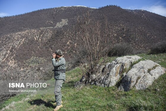 گزارش تصویری | سرشماری حیات وحش جنگل‌های هیرکانی رودبارک - سمنان