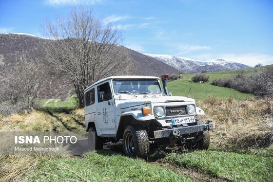 گزارش تصویری | سرشماری حیات وحش جنگل‌های هیرکانی رودبارک - سمنان