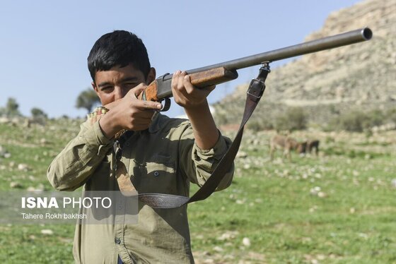 ایران زیباست | کوچ بهاری عشایر استان فارس