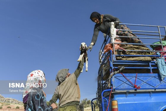 ایران زیباست | کوچ بهاری عشایر استان فارس