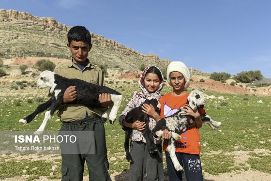ایران زیباست | کوچ بهاری عشایر استان فارس
