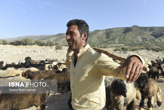 ایران زیباست | کوچ بهاری عشایر استان فارس