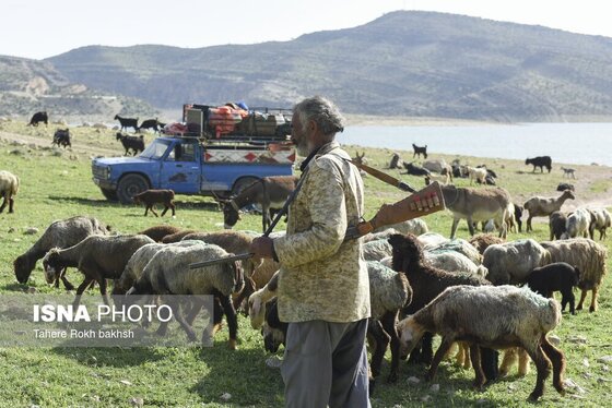 ایران زیباست | کوچ بهاری عشایر استان فارس