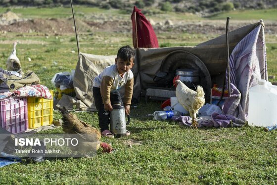 ایران زیباست | کوچ بهاری عشایر استان فارس
