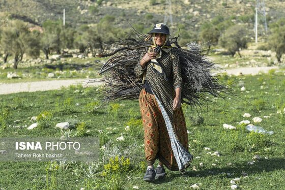 ایران زیباست | کوچ بهاری عشایر استان فارس