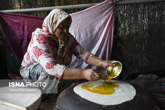ایران زیباست | کوچ بهاری عشایر استان فارس