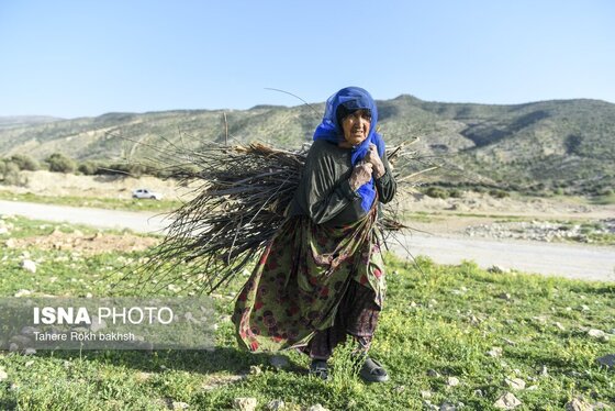 ایران زیباست | کوچ بهاری عشایر استان فارس