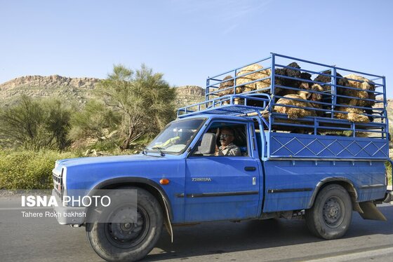 ایران زیباست | کوچ بهاری عشایر استان فارس
