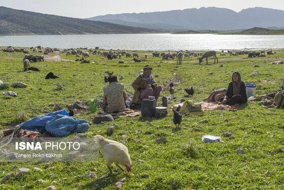 ایران زیباست | کوچ بهاری عشایر استان فارس