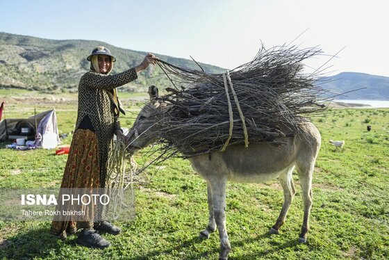 ایران زیباست | کوچ بهاری عشایر استان فارس