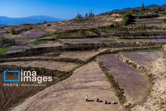 ایران زیباست | تمدنی ۷ هزار ساله