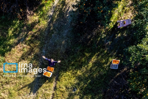 ایران زیباست | تمدنی ۷ هزار ساله