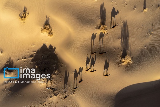 ایران زیباست | تمدنی ۷ هزار ساله