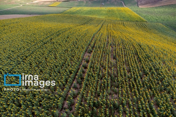 ایران زیباست | تمدنی ۷ هزار ساله