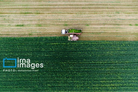 ایران زیباست | تمدنی ۷ هزار ساله