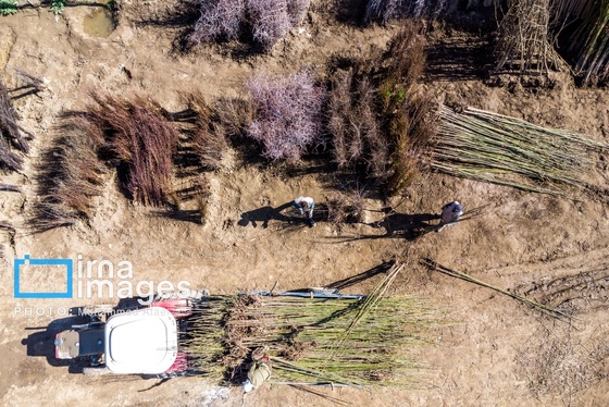 ایران زیباست | تمدنی ۷ هزار ساله