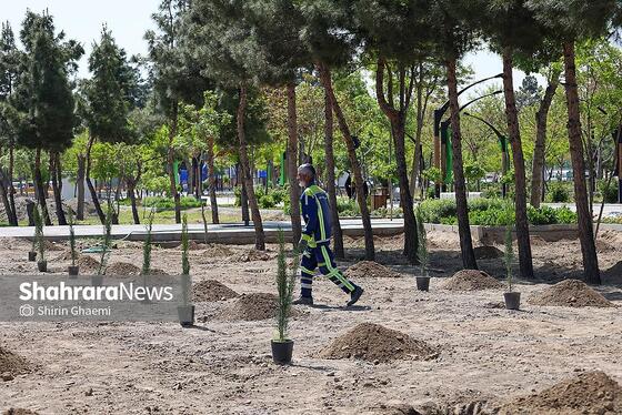 گزارش تصویری | «گلستان میناب» در بوستان جهان شهر