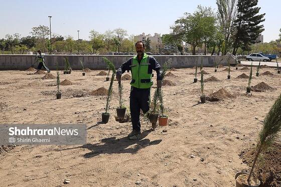 گزارش تصویری | «گلستان میناب» در بوستان جهان شهر
