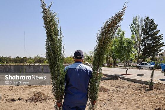 گزارش تصویری | «گلستان میناب» در بوستان جهان شهر