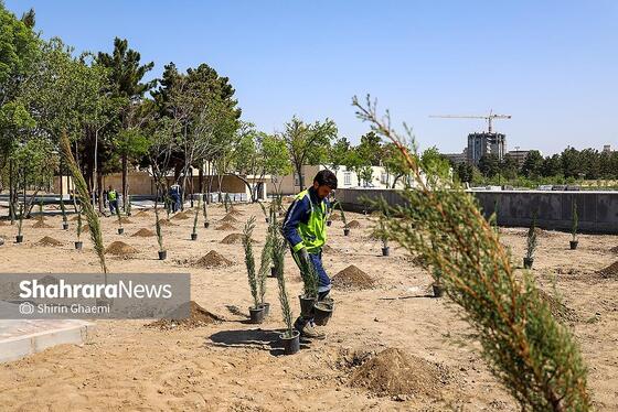 گزارش تصویری | «گلستان میناب» در بوستان جهان شهر