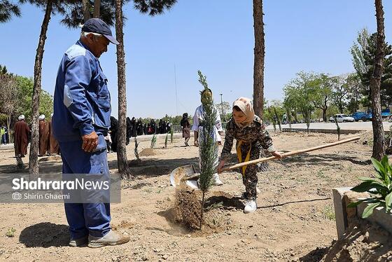 گزارش تصویری | «گلستان میناب» در بوستان جهان شهر