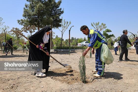 گزارش تصویری | «گلستان میناب» در بوستان جهان شهر