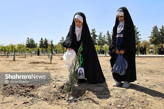 گزارش تصویری | «گلستان میناب» در بوستان جهان شهر