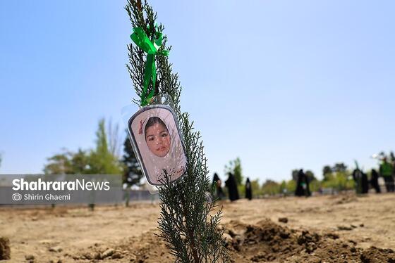 گزارش تصویری | «گلستان میناب» در بوستان جهان شهر