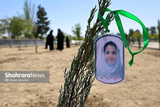 گزارش تصویری | «گلستان میناب» در بوستان جهان شهر