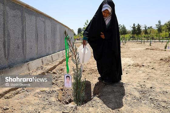 گزارش تصویری | «گلستان میناب» در بوستان جهان شهر