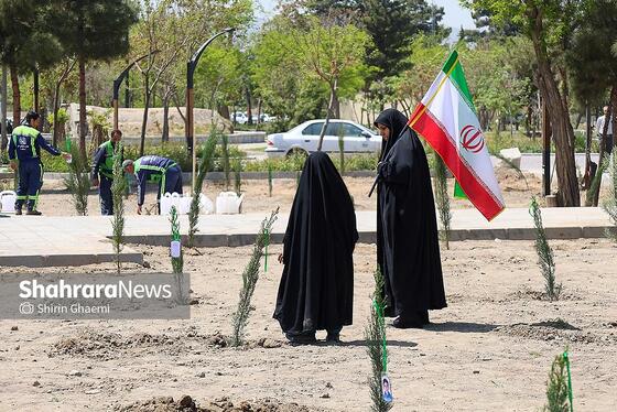 گزارش تصویری | «گلستان میناب» در بوستان جهان شهر