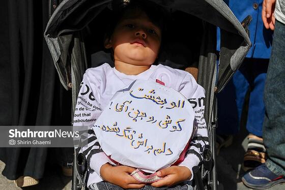 گزارش تصویری | گلباران حرم مطهر رضوی به مناسبت سالروز میلاد حضرت معصومه (س)