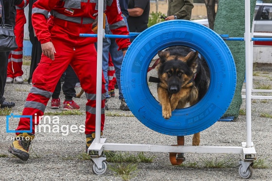 گزارش تصویری | مانور امدادگران جمعیت هلال احمر